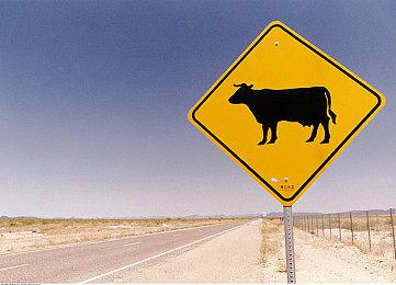 Switch《超级野田游戏Party》8.19日免费更新 众乐乐佳作